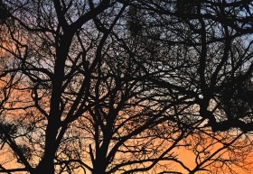 1769334400148371.jpg 快连官方网站