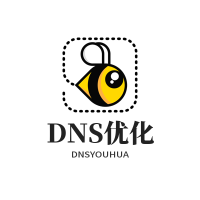快连DNS优化